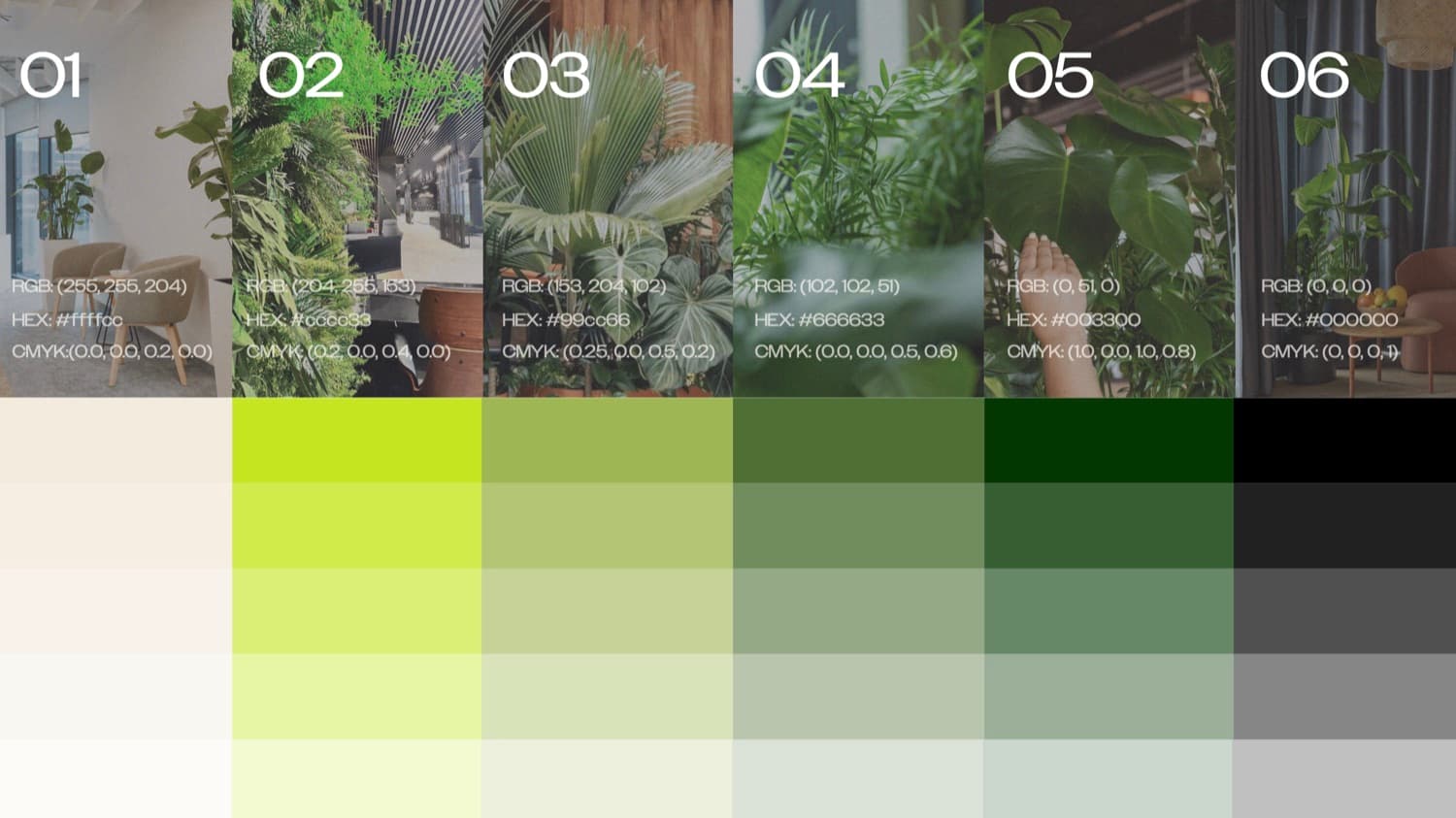 Strona palety: 6 tonów z wartościami RGB, HEX i CMYK
